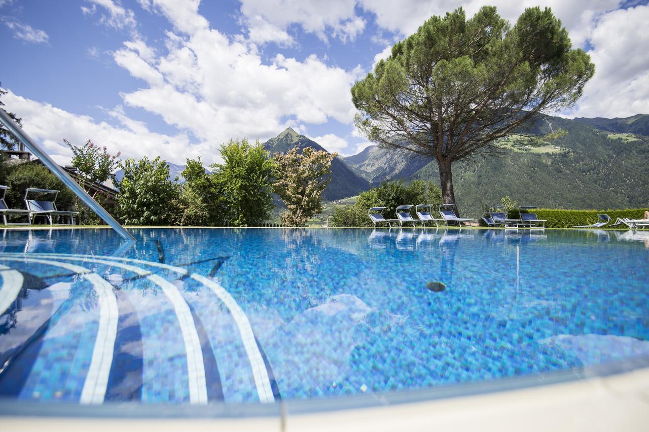 Erzherzog Johann 4*